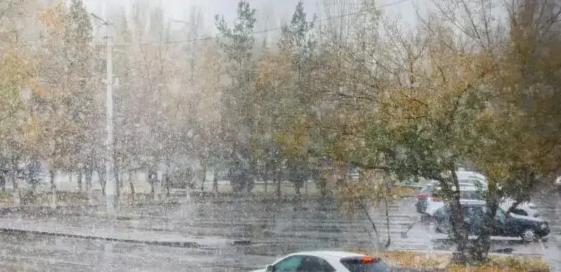 weather