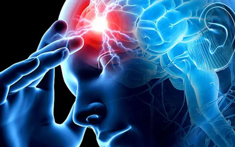 Речевой центр мозга подчиняет себе все тело - фейк