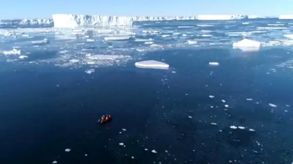 global sea ice 