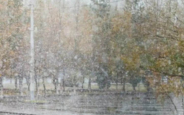 погода