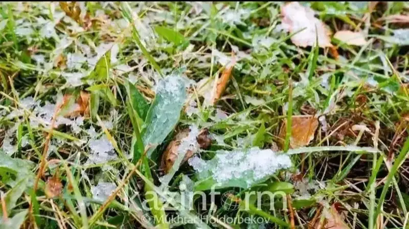 13 октябрь куни кутилаётган об-ҳаво маълумотлари 