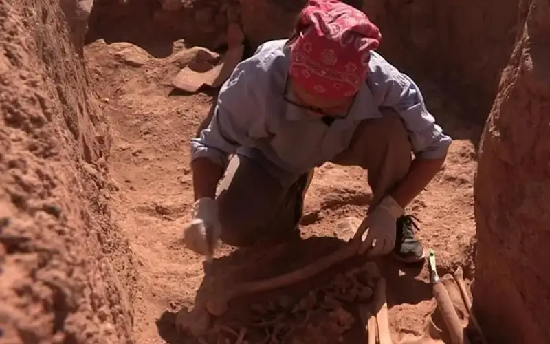 Egypt discovers 3000-year-old military leader's tomb: ministry