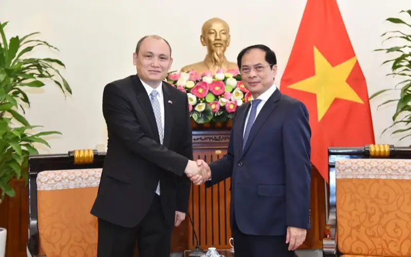 哈萨克斯坦大使会见越南外长