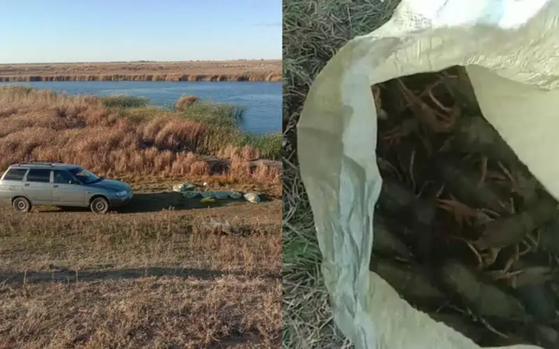 Незаконной ловлей раков занимались двое жителей ЗКО