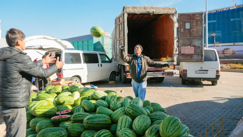 Bolee 700 tonn selhozprodýktsıı SKO prıvezlı na ıarmarký v Astane