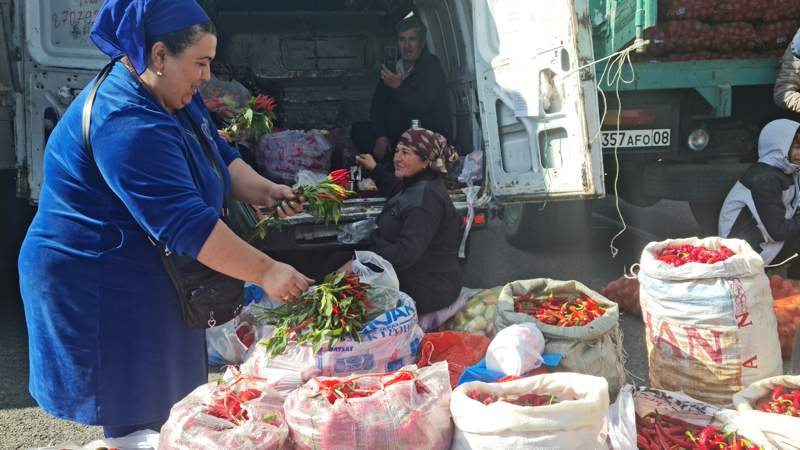 74,6 тонны продуктов продали в Таразе кыргызские и местные фермеры 74,6 тонны продуктов продали в Таразе кыргызские и местные фермеры