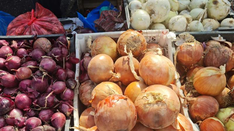 74,6 тонны продуктов продали в Таразе кыргызские и местные фермеры 74,6 тонны продуктов продали в Таразе кыргызские и местные фермеры