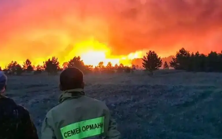 Семей орманы өртіне кінәлі шенеуніктер жазаланды ма 