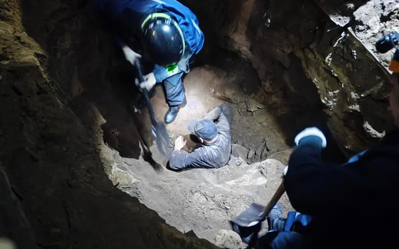 происшествия