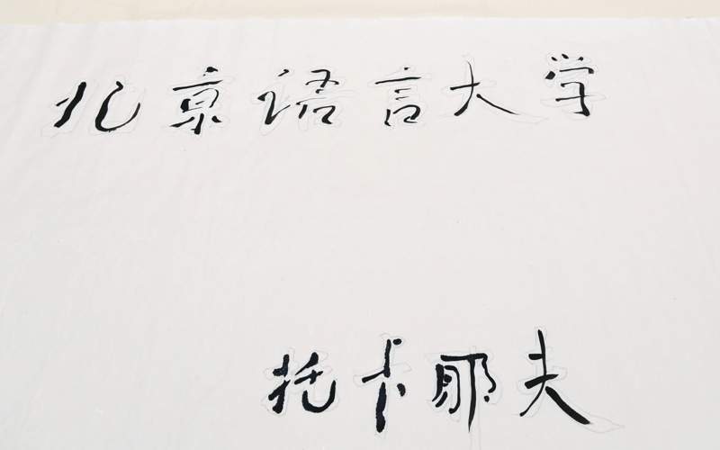 总统 总统