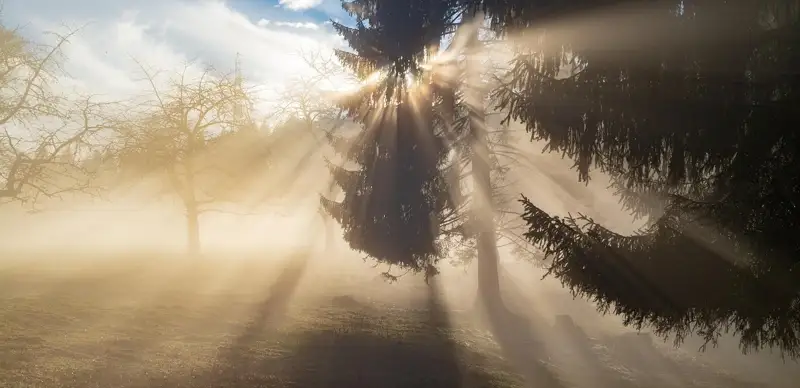 Штормовое предупреждение 