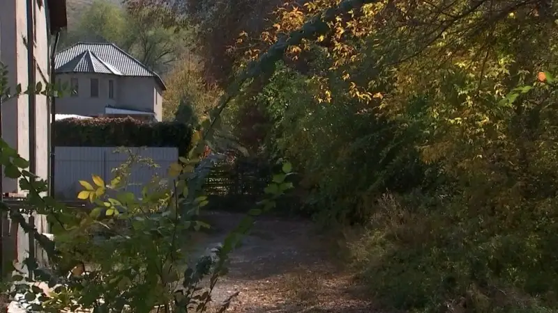 ktk.kz/видео кадры