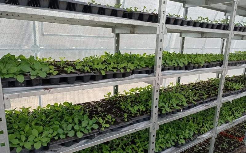 школа школа Сарань