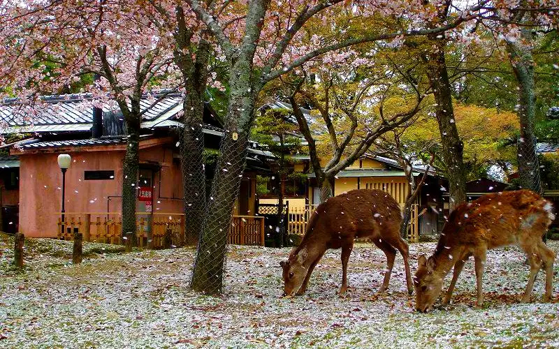 ەڭ ادەمى كۇز 