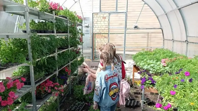 Мини-дендросад разбили возле школы саранские школьники