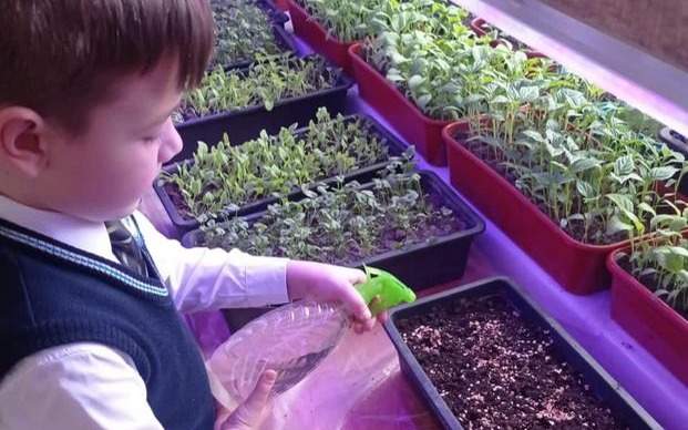 школа сад школа сад