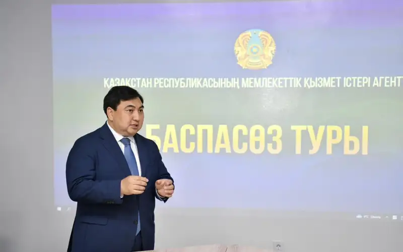 Memlekettik qyzmet isteri
