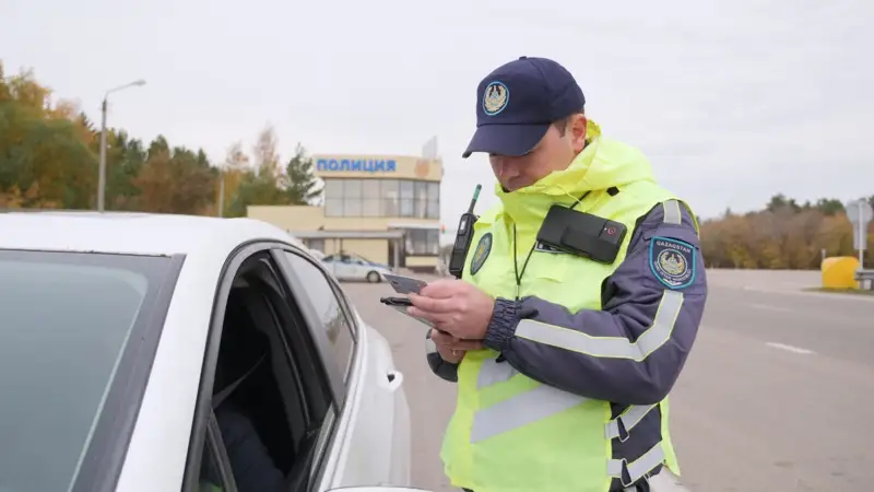 sheteldik avtokólik