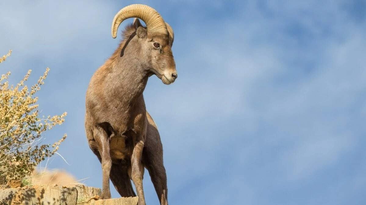 Оқытушының кабинетіндегі порно онлайн көру