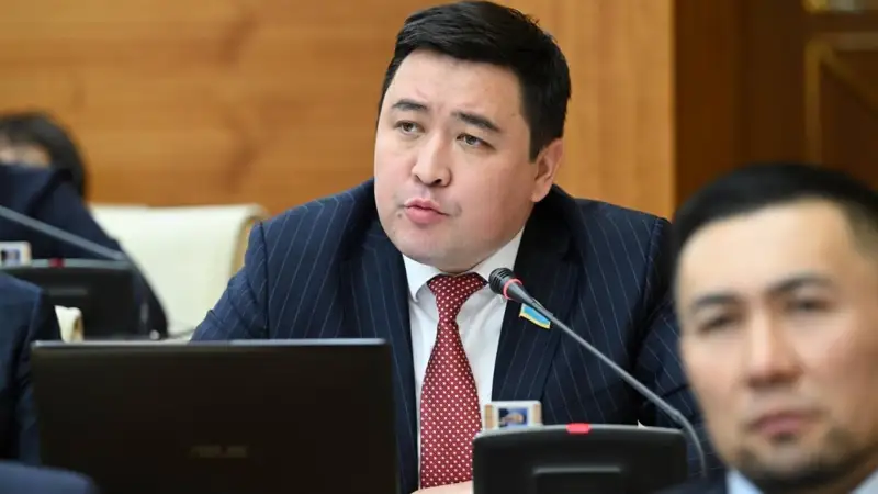  Qulaqsyz týǵan bóbekterdiń janaıqaıyn estimeıtin qulaǵy bar bıliktiń uıaty kimge – Májilis depýtaty