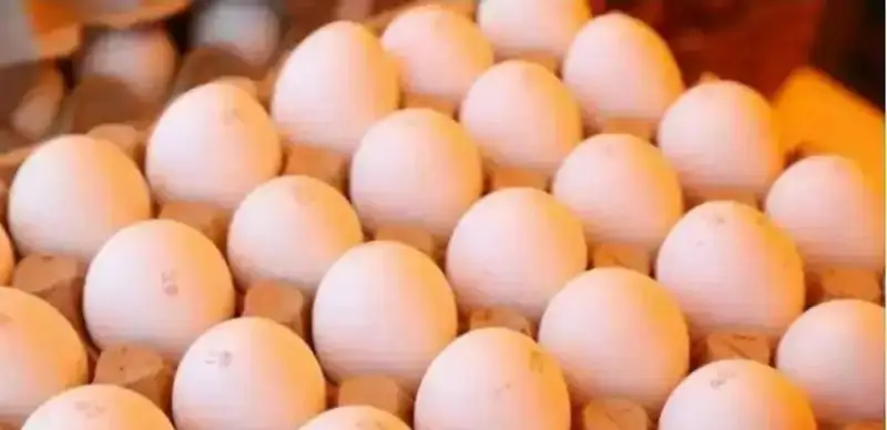 8 айда Қазақстанда 3,3 млрд данадан астам жұмыртқа өндірілді