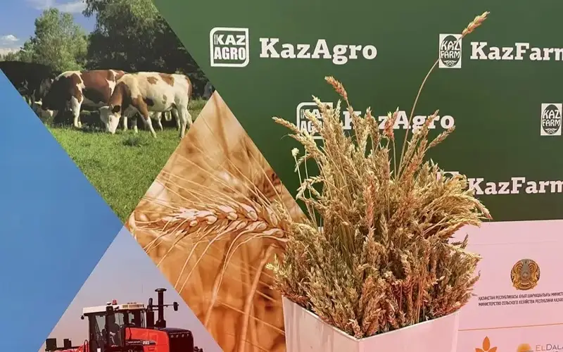 KazAgro-2023 & KazFarm-2023 traditional international exhibition kicked off in Astana