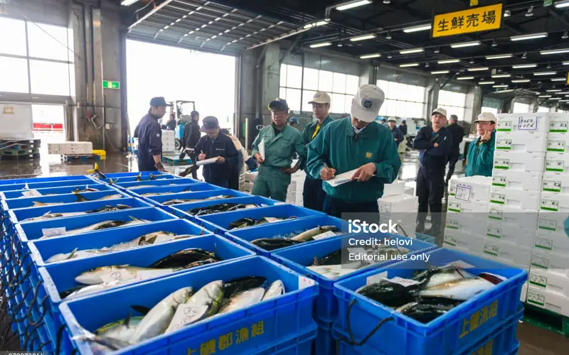 China imported no seafood from Japan in Sept. over Fukushima water release