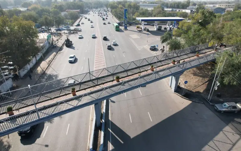 Мост по проспекту Райымбека