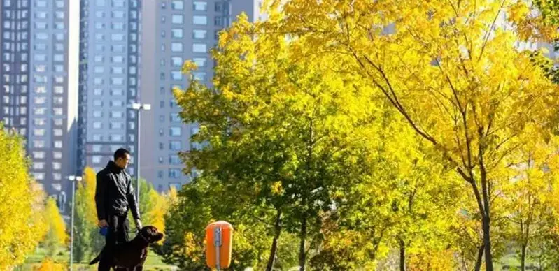 weather in Kazakhstan