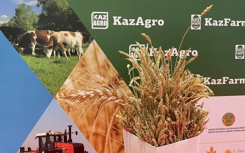Международная выставка KazAgro-2023 открылась в Астане