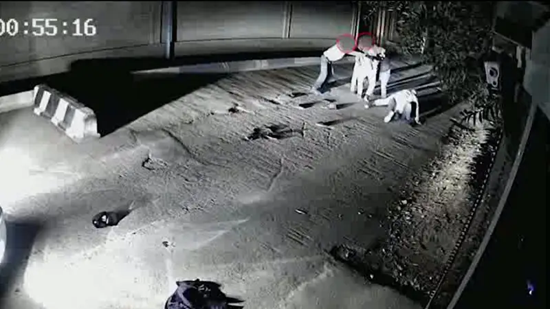 Чегарачилар билан жанжал