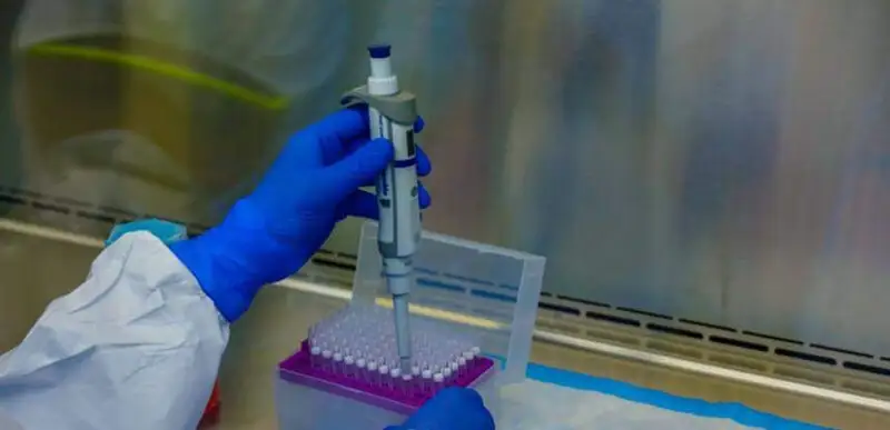 Мухтар Холдорбеков/ агентство Kazinform