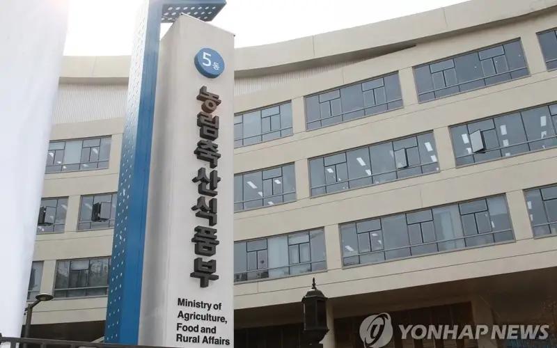 韩国