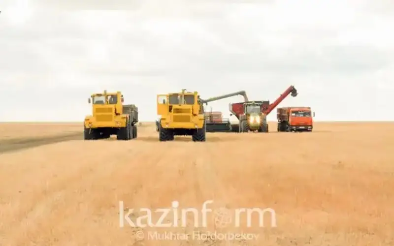 Kazakhstan’s exports of agro-industrial products to CIS hit $3bln