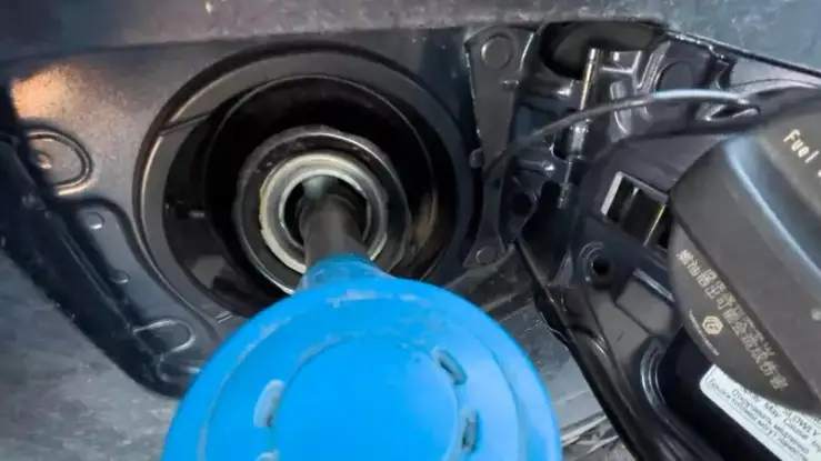 Фото: Тұрар Қазанғапов  