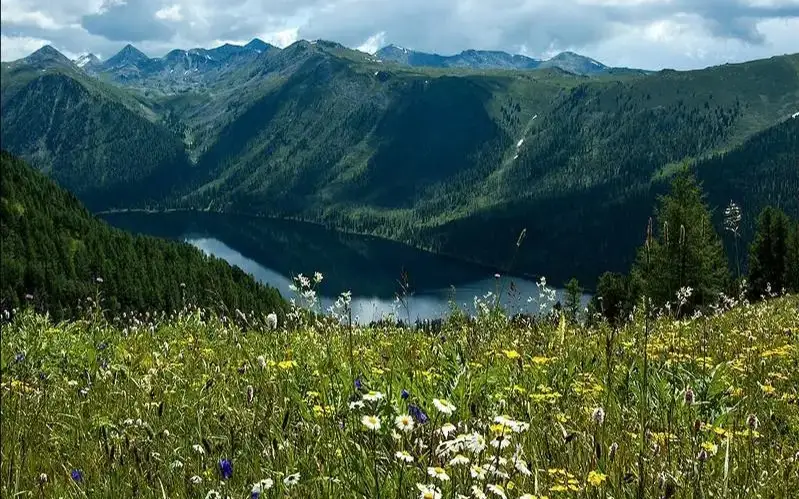 Маңғыстау облысы