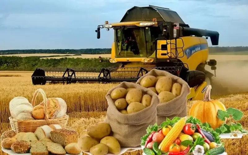 МДҲ мамлакатлари озиқ-овқат хавфсизлиги бўйича умумий ҳужжат қабул қилди