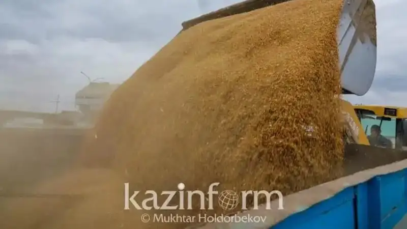 Kazakhstan can become a regional food hub of CIS - Minister of Agriculture