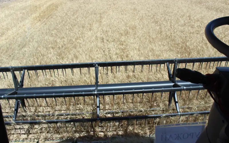 урожай зерновых 