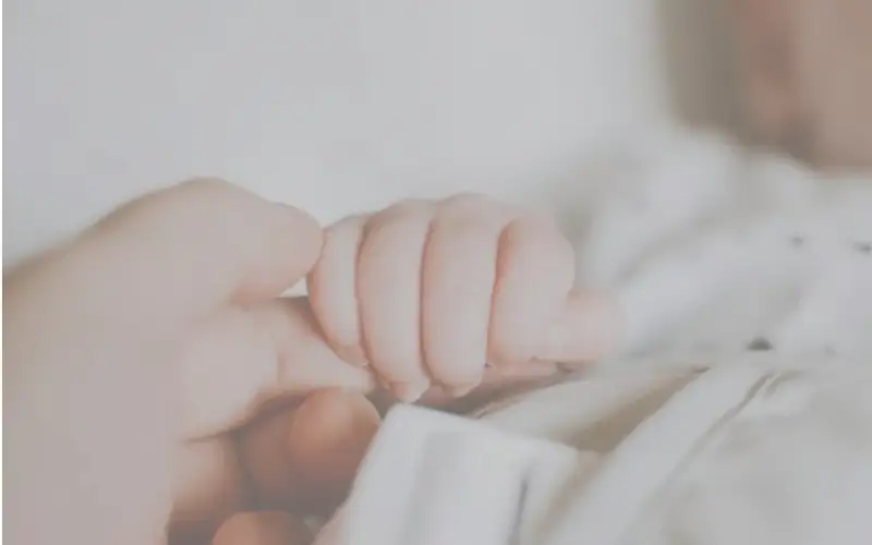 Фото: pexels.com 