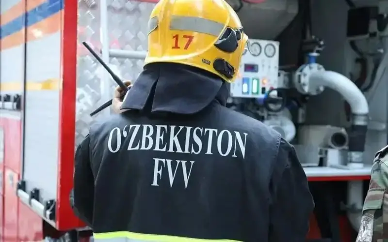 ózbekstan tjm