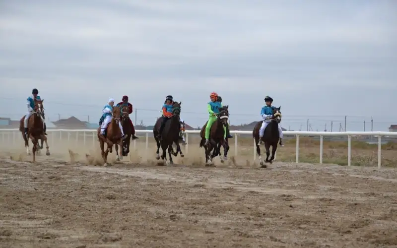 Қызылордада аламан бәйгенің жүлдегеріне 4 млн теңгенің сертификаты табысталды