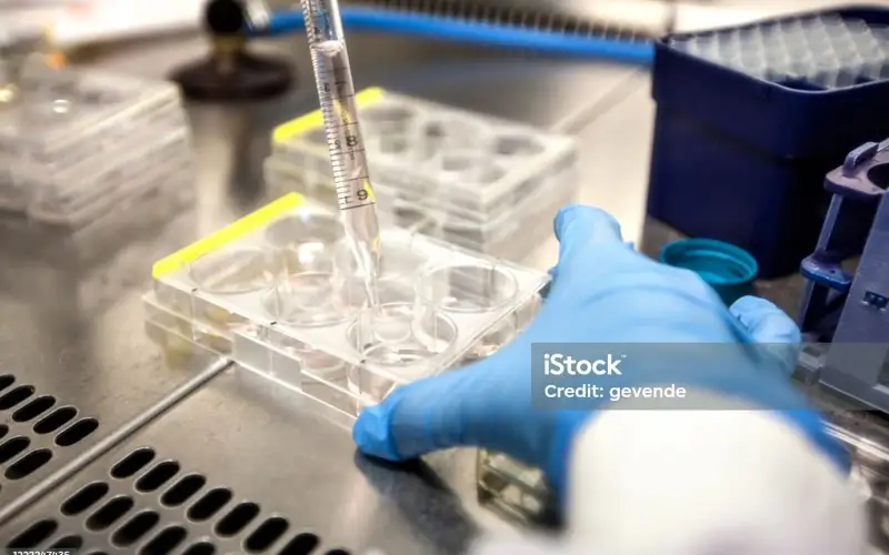 Japanese woman becomes pregnant via IVF donor sperm after husband's death 