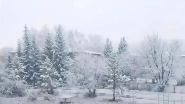 Шимолий Қозоғистон вилоятида биринчи қор ёғди