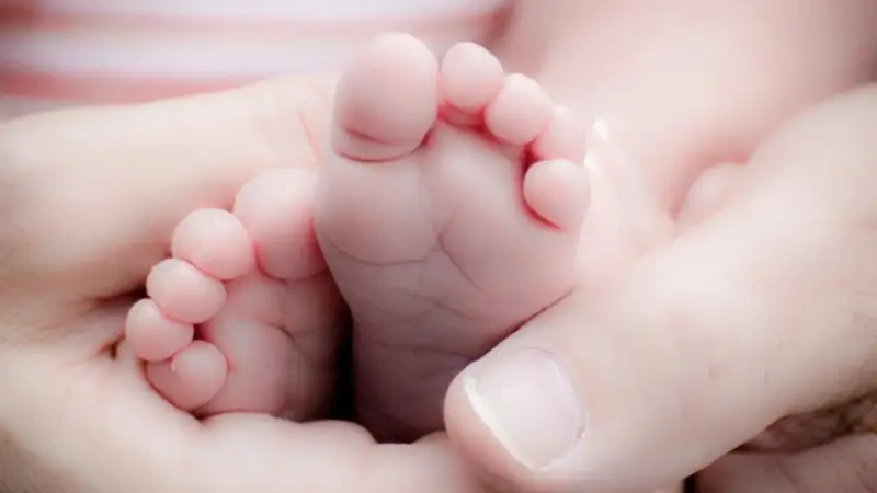 Фото: © Pixabay.com