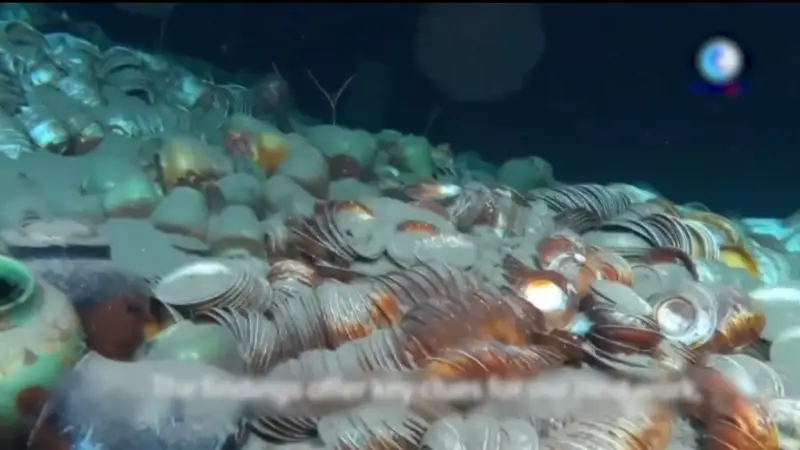 ТЕҢІЗІНЕН БАҒАЛЫ ЗАТТАР 