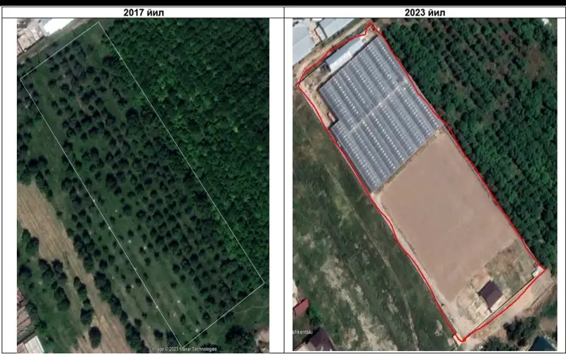 Дендропарк