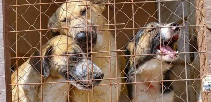 Виктор Федюнин/ агентство Kazinform