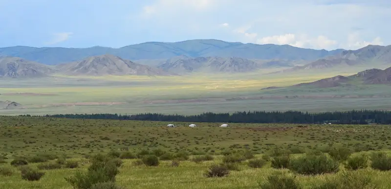 земельные участки