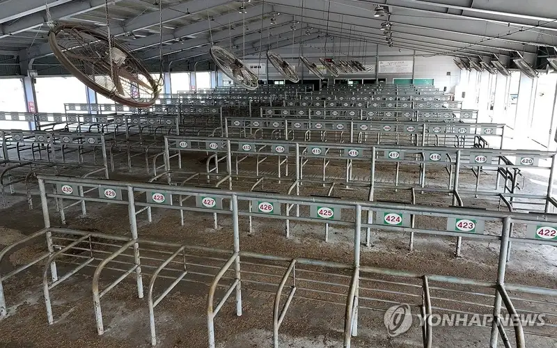 韩国